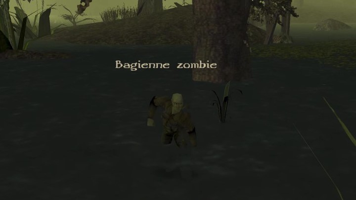 10 - Kroniki Myrtany: Bestiariusz - lista wszystkich potworów - Kroniki Myrtany - poradnik do gry