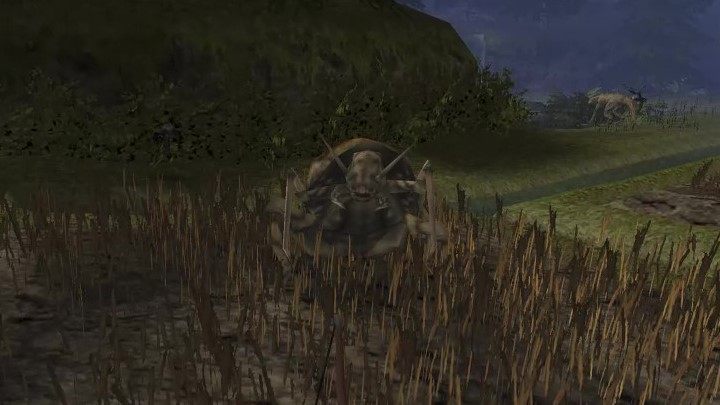 13 - Kroniki Myrtany: Bestiariusz - lista wszystkich potworów - Kroniki Myrtany - poradnik do gry