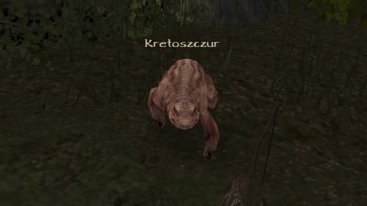 18 - Kroniki Myrtany: Bestiariusz - lista wszystkich potworów - Kroniki Myrtany - poradnik do gry