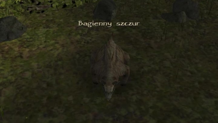 19 - Kroniki Myrtany: Bestiariusz - lista wszystkich potworów - Kroniki Myrtany - poradnik do gry