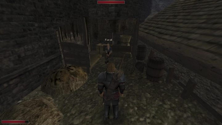 Jeżeli od razu po przejściu przez bramę do Wilczego leża skręcicie w lewo, to powinniście zobaczyć siedzącego w rogu Forala - Kroniki Myrtany: Spotkania (Wilcze leże) - lista wszystkich - Kroniki Myrtany - poradnik do gry