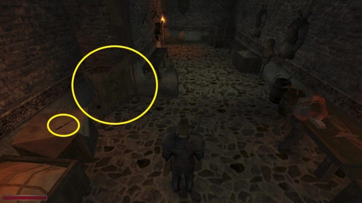 Po zrobieniu 4 półkoli Einar poprosi Was o zajęcie się skórą - Kroniki Myrtany: Srebro i stal - solucja, opis przejścia - Kroniki Myrtany - poradnik do gry