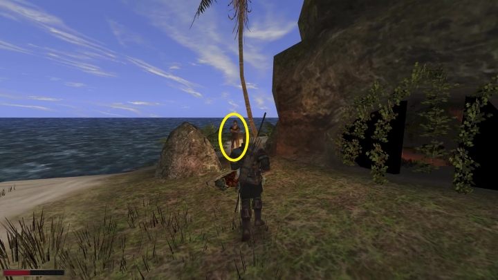 Wejdźcie do jaskini znajdującej się na wyspie - Kroniki Myrtany: Poza światem - osiągnięcie, jak zdobyć? - Kroniki Myrtany - poradnik do gry