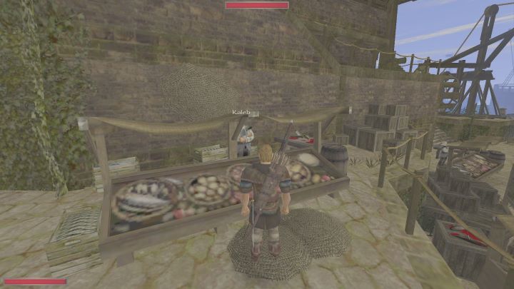 Mężczyzna zaprowadzi Was do nowego domu - Kroniki Myrtany: Mój nowy dom - solucja, opis przejścia - Kroniki Myrtany - poradnik do gry