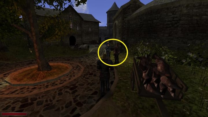 Na tym samym dziedzińcu, na którym znajduje się lecznica w klasztorze magów wody, będziecie mogli spotkać Rierola i Cardena (stoją koło wozu z martwymi zwierzętami) - Kroniki Myrtany: Skrzydełko czy nóżka? - Kroniki Myrtany - poradnik do gry