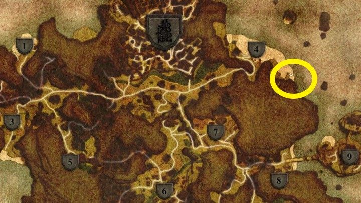 Południowiec, który w grze nazywa się Puma, i jego zwierzę prowadzili obwoźne występy - Kroniki Myrtany: Puma i Południowiec - Kroniki Myrtany - poradnik do gry