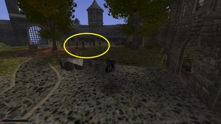 Po prawej stronie od wejścia do lecznicy znajduje się grupka nowicjuszy - Kroniki Myrtany: Z deszczu pod rynnę - solucja, opis przejścia - Kroniki Myrtany - poradnik do gry