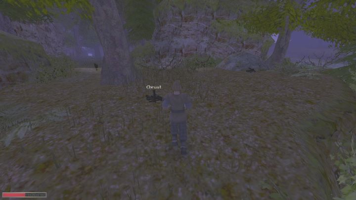 Przed jaskinią jest kilka wiązek chrustu, wystarczy nam jedna. - Kroniki Myrtany: W gorącej wodzie kąpany - solucja, opis przejścia - Kroniki Myrtany - poradnik do gry