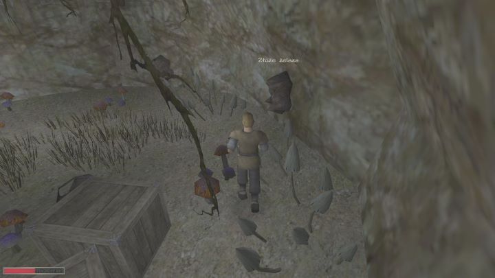 Gdy już będziecie gotowi, należy wejść w interakcję z ogniskiem - Kroniki Myrtany: W gorącej wodzie kąpany - solucja, opis przejścia - Kroniki Myrtany - poradnik do gry