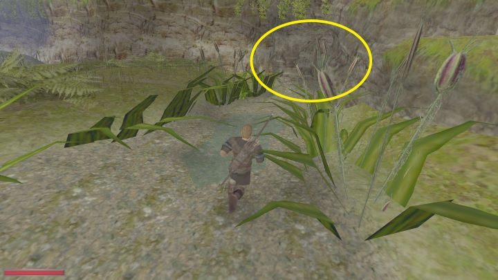 Po wejściu zobaczycie dziurę w ziemi - Kroniki Myrtany: Wyruszamy do miasta - solucja, opis przejścia - Kroniki Myrtany - poradnik do gry