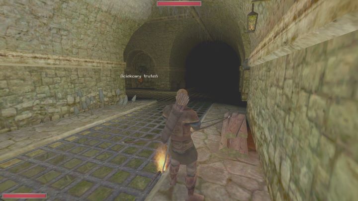 Warto walczyć z nimi z dystansu, gdyż są bardzo podatne na strzały, a do tego rozsiewają trującą mgłę - Kroniki Myrtany: Wyruszamy do miasta - solucja, opis przejścia - Kroniki Myrtany - poradnik do gry