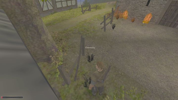 Za każdy zebrany chwast otrzymacie 10 exp - Kroniki Myrtany: Ukochana córka - solucja, opis przejścia - Kroniki Myrtany - poradnik do gry