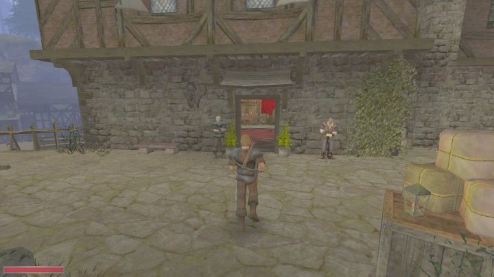 Porozmawiajcie z jego właścicielką - Vladą - Kroniki Myrtany: Dla koneserów - solucja, opis przejścia - Kroniki Myrtany - poradnik do gry