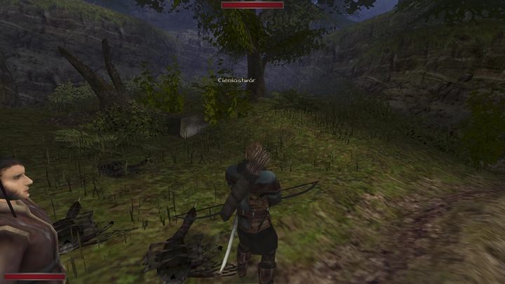 Uwaga jednak - to potężna bestia - Kroniki Myrtany: Krew Myśliwego - solucja, opis przejścia - Kroniki Myrtany - poradnik do gry