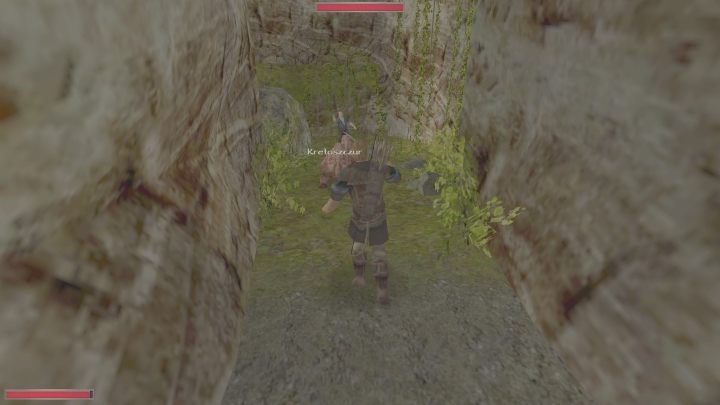 Po zabiciu stworzeń, mężczyzna poprosi Was o odnalezienie zagubionego amuletu, gdyż bez niego nie wróci do winnicy - Kroniki Myrtany: Spóźniony pracownik - solucja, opis przejścia - Kroniki Myrtany - poradnik do gry