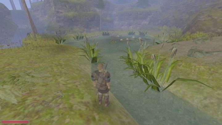 Nieważne jak tam dotarliście, dziennik się zaktualizuje - nad jeziorem nie ma zagrożenia (nawet jeżeli wcześniej nie wybiliście wszystkich dzikich zwierząt) - Kroniki Myrtany: Otoczeni przez niebezpieczeństwo - solucja, opis przejścia - Kroniki Myrtany - poradnik do gry