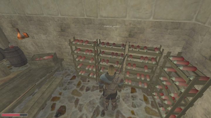 Nie pozostaje już nic innego, jak czekać na owoce Waszej pracy - Kroniki Myrtany: Skarby Archolos - solucja, opis przejścia - Kroniki Myrtany - poradnik do gry