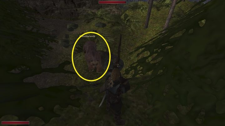 Ostatnim wrogiem jest niedźwiedź - Kroniki Myrtany: Współpraca z Ramhą - solucja, opis przejścia - Kroniki Myrtany - poradnik do gry