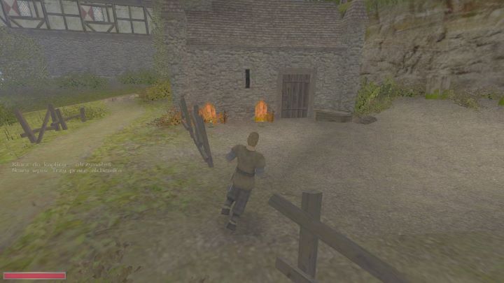 Czeka Was walka z chrząszczami - Kroniki Myrtany: Trzy prace alchemika - solucja, opis przejścia - Kroniki Myrtany - poradnik do gry