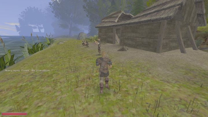 Należy podejść do tej grupki ludzi i porozmawiać z Maikiem - Kroniki Myrtany: Pomoc dla powodzian - solucja, opis przejścia - Kroniki Myrtany - poradnik do gry