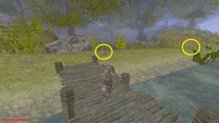 Znalezienie paczek nie powinno być trudne - Kroniki Myrtany: Pomoc dla powodzian - solucja, opis przejścia - Kroniki Myrtany - poradnik do gry