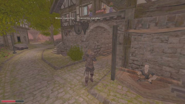 Należy porozmawiać z Figaro - Kroniki Myrtany: Naturalne metody - solucja, opis przejścia - Kroniki Myrtany - poradnik do gry