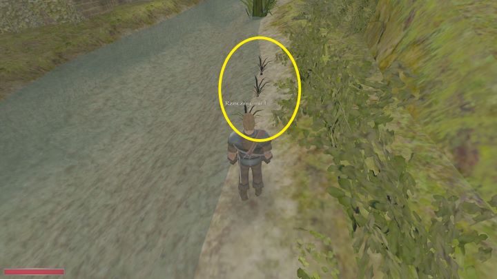 Wystarczy przespacerować się brzegiem. - Kroniki Myrtany: Naturalne metody - solucja, opis przejścia - Kroniki Myrtany - poradnik do gry