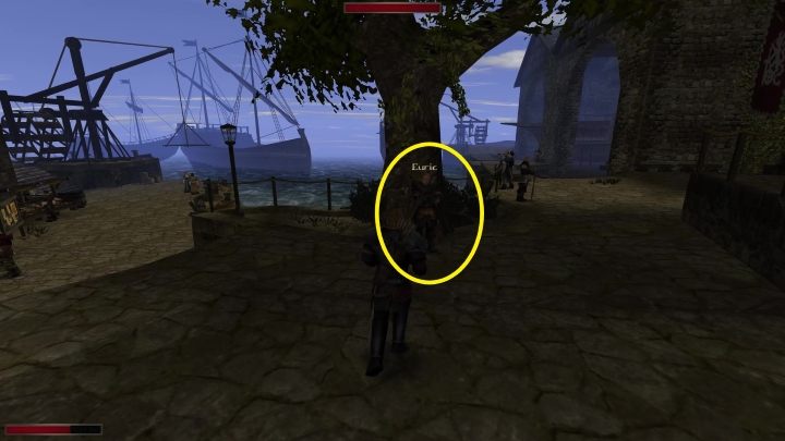 Jeżeli wybraliście powyższe opcje, to uaktualni Wam się dziennik, a Wy będziecie mogli porozmawiać ze znajdującym się nieopodal pod drzewem Euriciem - Kroniki Myrtany: W ekstremalnych warunkach - Kroniki Myrtany - poradnik do gry