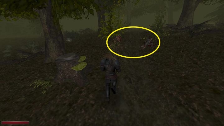 Idąc drogą napotkacie na ciała zwierząt - Kroniki Myrtany: Bestia z Archolos - solucja, opis przejścia - Kroniki Myrtany - poradnik do gry