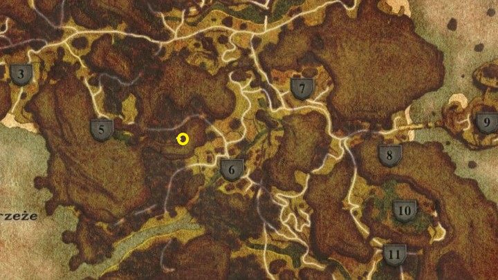 Jeżeli staniecie przodem do jaskini, w której znaleźliście Gerke, to po prawej stronie od niej, za krzakami i w okolicach ogniska, znajdziecie pozostałości magicznych zwojów - Kroniki Myrtany: Bestia z Archolos - solucja, opis przejścia - Kroniki Myrtany - poradnik do gry