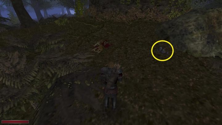 Butelki mikstur many możecie znaleźć pomiędzy ciałem wilka oraz skałą - Kroniki Myrtany: Bestia z Archolos - solucja, opis przejścia - Kroniki Myrtany - poradnik do gry