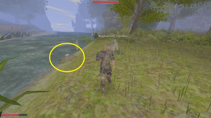 Uważnie rozglądjcie się za gniazdami - Kroniki Myrtany: Oczyścić brzeg - solucja, opis przejścia - Kroniki Myrtany - poradnik do gry