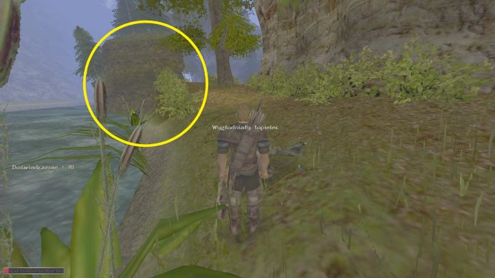 Omińcie tę skałę. - Kroniki Myrtany: Oczyścić brzeg - solucja, opis przejścia - Kroniki Myrtany - poradnik do gry