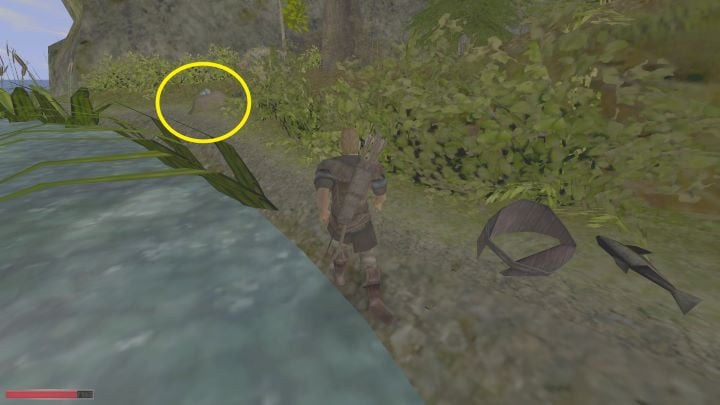 Trzecie gniazdo jest dobrze ukryte. - Kroniki Myrtany: Oczyścić brzeg - solucja, opis przejścia - Kroniki Myrtany - poradnik do gry