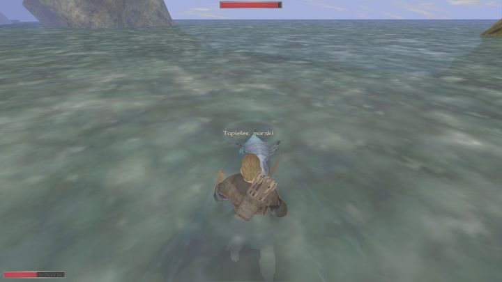 Tak to wygląda w praktyce. Potwór w wodzie, Wy na płyciźnie. - Kroniki Myrtany: Oczyścić brzeg - solucja, opis przejścia - Kroniki Myrtany - poradnik do gry