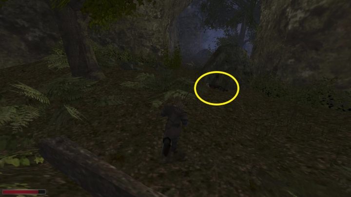 Jeżeli chcecie odciągnąć przywódcę od innych zwierząt, to zostawcie w zaznaczonym ciele nieco mięsa - Kroniki Myrtany: W cichej mgle - solucja, opis przejścia - Kroniki Myrtany - poradnik do gry