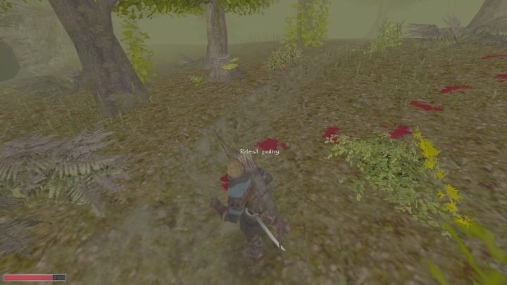 Na ich końcu czekają dziki i martwy posłaniec - Kroniki Myrtany: Posłaniec Dimy - solucja, opis przejścia - Kroniki Myrtany - poradnik do gry