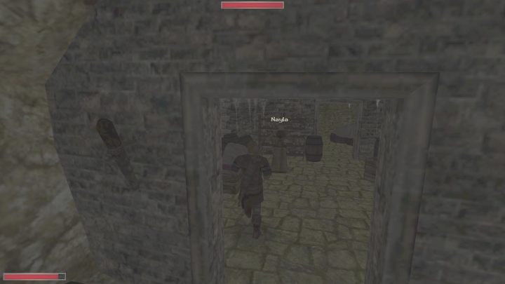 Możecie to zadanie rozwiązać na dwa sposoby - Kroniki Myrtany: Niech stanie się światłość - solucja, opis przejścia - Kroniki Myrtany - poradnik do gry