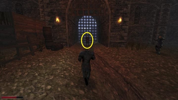 Rozmowa z wojownikiem nie przyniesie rezultatu - Kroniki Myrtany: Srebrna podszewka - solucja, opis przejścia - Kroniki Myrtany - poradnik do gry