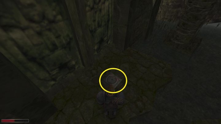 Idźcie cały czas przed siebie, zabijając niebezpieczną faunę, aż dojdziecie do drzwi - Kroniki Myrtany: Archeolog - osiągnięcie, jak zdobyć? - Kroniki Myrtany - poradnik do gry