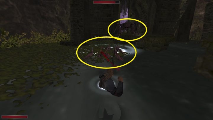 Macie jednak nad nimi pewną przewagę - znajdujecie się wokół wody - Kroniki Myrtany: Archeolog - osiągnięcie, jak zdobyć? - Kroniki Myrtany - poradnik do gry