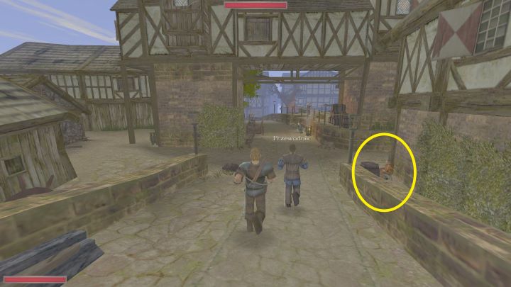 Drugi natomiast siedzi pod domem urzędnika Mateya - Kroniki Myrtany: Lista wszystkich spotkań - Kroniki Myrtany - poradnik do gry