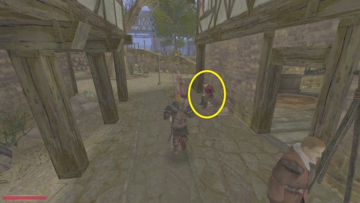 Możecie mu oddać całe złoto (30 sztuk) za 400 exp lub połowę kwoty za 200 exp - Kroniki Myrtany: Lista wszystkich spotkań - Kroniki Myrtany - poradnik do gry