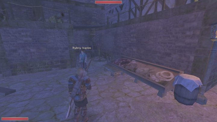 Mężczyzna zaoferuje Wam zakup ryb - Kroniki Myrtany: Lista wszystkich spotkań - Kroniki Myrtany - poradnik do gry