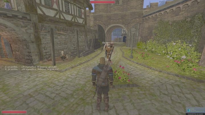 W mieście może do Was podbiec Szaleniec - Kroniki Myrtany: Lista wszystkich spotkań - Kroniki Myrtany - poradnik do gry