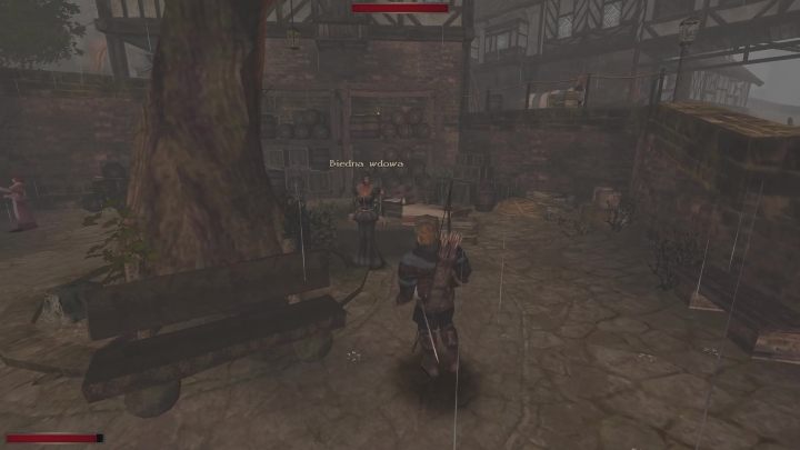 Możecie wesprzeć ją finansowo - Kroniki Myrtany: Lista wszystkich spotkań - Kroniki Myrtany - poradnik do gry