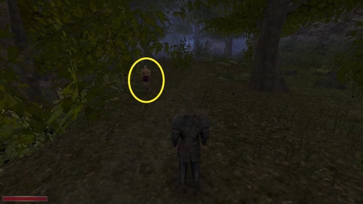 1 - Kroniki Myrtany: Spotkania w drodze - Kroniki Myrtany - poradnik do gry