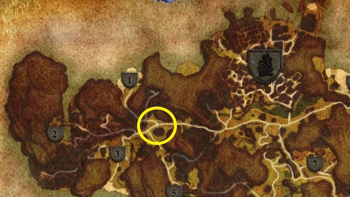 Z ostatnim oddziałem uderzeniowym spotkacie się w okolicach spalonego młyna - Kroniki Myrtany: Orkowa zaraza - Kroniki Myrtany - poradnik do gry