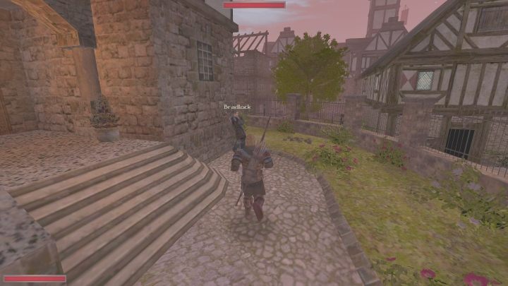 Mężczyzna z niechęcią da Wam zlecenie od Volkera - ciemnozieloną książkę, którą musicie przeczytać - Kroniki Myrtany: Folwark chłopięcy - solucja, opis przejścia - Kroniki Myrtany - poradnik do gry