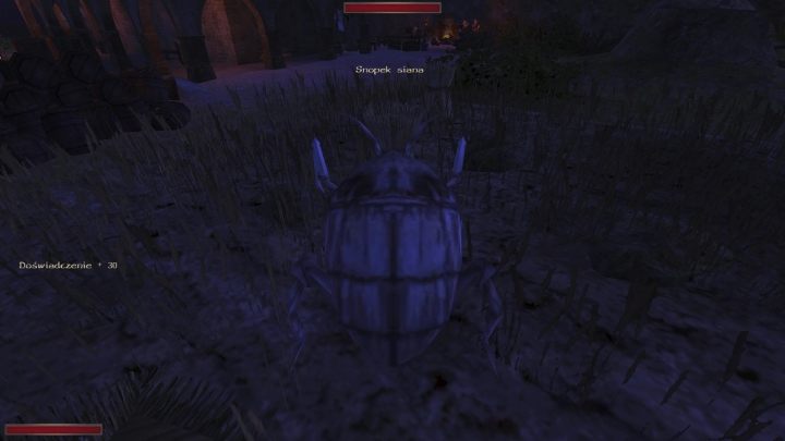 Po skończonej robocie wróćcie do zleceniodawcy - Kroniki Myrtany: Folwark chłopięcy - solucja, opis przejścia - Kroniki Myrtany - poradnik do gry